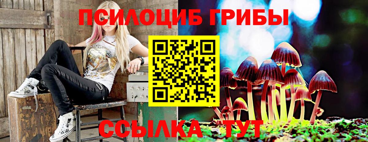 Галлюциногенные грибы мухоморы Полевской