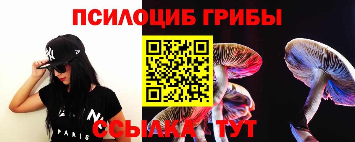 Полевской  цены   Вход с VPN  Псилоцибиновые грибы GOLDEN TEACHER  Галлюциногенные грибы Psilocybine cubensis 